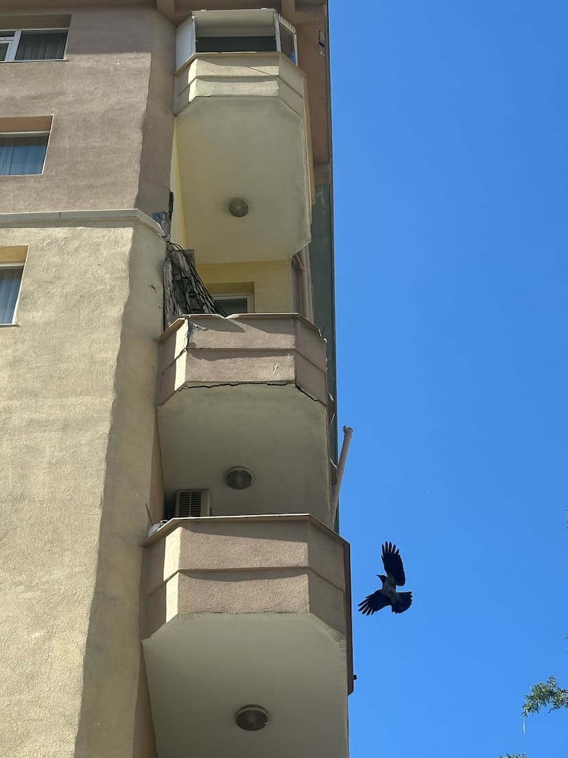 https://kadikoyapi.kadikoy.bel.tr/102d1298431940c89beb1360a892b49b.jpeg