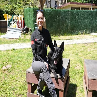Kadıköy Belediyesi 4 Sertifikalı Arama Köpeği Olan Tek İlçe