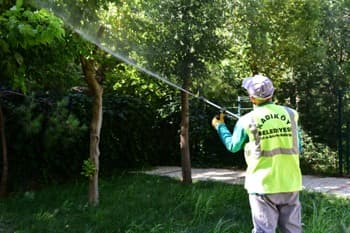 Kadıköy Belediyesi'nden Tırtılla Mücadele