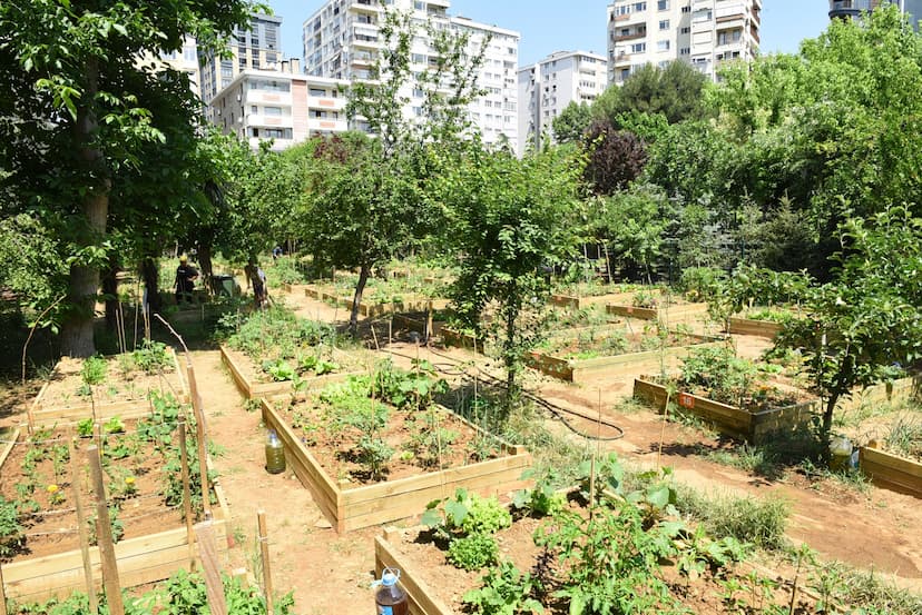 https://kadikoyapi.kadikoy.bel.tr/4e012bb68f1f4a6782f7a25f4737fa67.JPG
