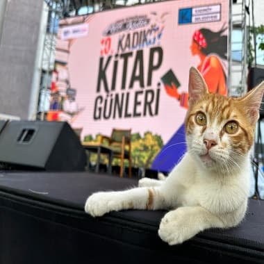 Yazarlar Ve Okurlar Kadıköy’de Buluşuyor