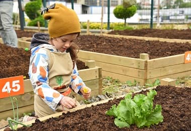 Kadıköy Bostanları’nda Kış Dönemi İçin Kayıtlar Başladı