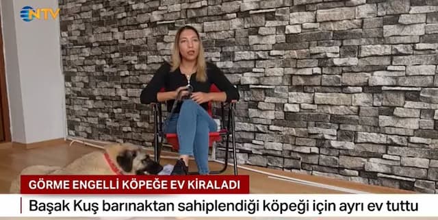 NTV - Görme Engelli Köpeği Sahiplendi