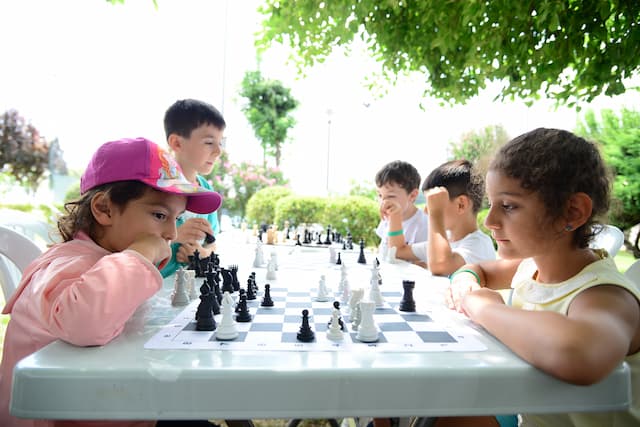 Kadıköy Belediyesi Yaz Okulları