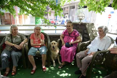 Huzur Evi'nde Çarli İle Neşeli Günler