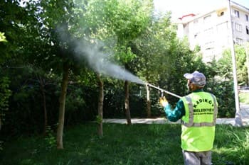 Kadıköy Belediyesi'nden Amerikan Beyaz Kelebeği Tırtılı ile Mücadele