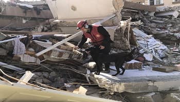 Unesco, Kadıköy Belediyesi’nin Deprem Bölgelerindeki Çalışmalarını Dünyaya Örnek Gösterdi 