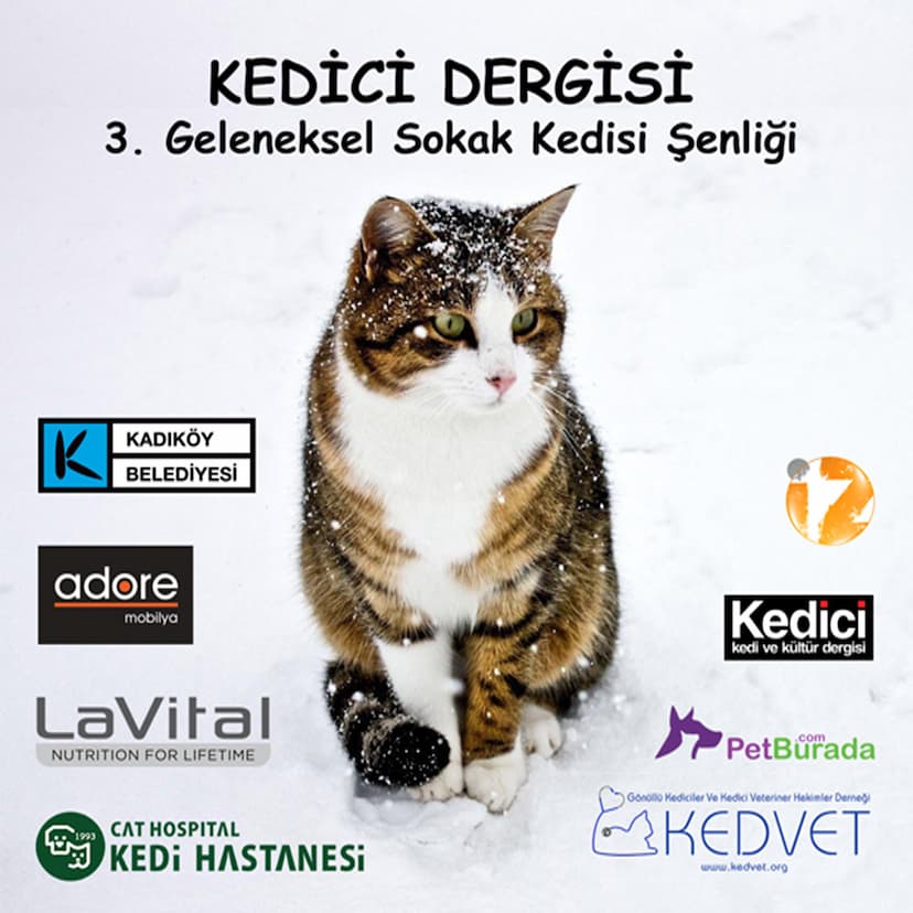 https://kadikoyapi.kadikoy.bel.tr/Documents/file/K_News/kedievi senlik-f28a5d6e-d32d-4bee-b225-f74c5484ac9c.jpg