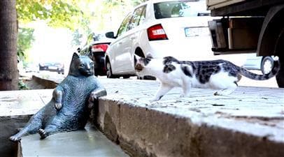 Kadıköy'ün Bıçkın Kedisi 'Tombili' Heykeli Açıldı