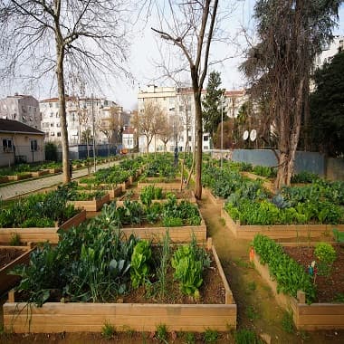 Moda Bostan Alanının Yer Aldığı İhale İptal Edildi